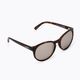 Sonnenbrille POC Know tortoise brown/clarity road silver
