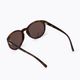 Sonnenbrille POC Know tortoise brown/clarity road silver 2