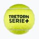 Tretorn Serie+ Tennisbälle 4 Stk. 3T01 2