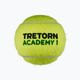 Tretorn ST1 Tennisbälle 36 Stück gelb 3T519 474442 2