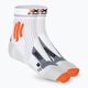 Men's X-Socks Marathon Energy 4.0 Laufsocken arktisch weiß/trick orange