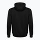 Herren Hoodie Sweatshirt EA7 Emporio Armani Train Visibility Hoodie black 2