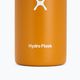 Hydro Flask Wide Flex Sip 355 ml fossile Thermoflasche 3