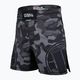 Grappling-Shorts für Männer Pitbull West Coast Grappling Dillard grey
