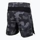 Grappling-Shorts für Männer Pitbull West Coast Grappling Dillard grey 2
