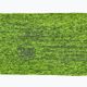 BUFF Dryflx Stirnband grün 118098.117.10.00 2