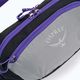 Osprey Daylite Waist 2L grau-violett Hüfttasche 10004202 4