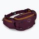 Fahrrad Bauchtasche Osprey Savu 5 aprium purple 2