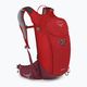 Fahrrad Rucksack Herren Osprey Siskin 12 l z Wasserbeuteliem 2,5 l ultimate red 2