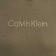 Herren Calvin Klein Hoodie 8HU grau oliv 7