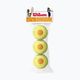 Wilson Starter Orange Tball Kinder-Tennisbälle 3 Stück gelb WRT137300