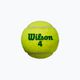 Kindertennisbälle Wilson Starter Play Grün 4 Stück gelb WRT137400 3