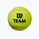 Wilson Team Practice Tennisbälle 4 Stück gelb WRT111900 2
