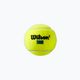 Wilson Tour Premier All Ct Tennisbälle 3 Stück gelb WRT109400 3