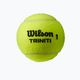 Wilson Triniti TBall Tennisbälle 4 Stück gelb WRT115200+ 2