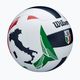 Wilson Italian League VB Offizieller Spielball Größe 5 2