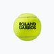 Wilson Roland Garros Clay Ct Tennisbälle 4 Stück gelb WRT115000 4