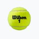 Wilson Roland Garros All Ct 4 Ball Tennisbälle 2Pk 8 Stück gelb WRT116402 4