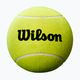 Wilson Roland Garros Mini Jumbo 5" gelber Autogramm-Tennisball