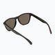 Oakley Frogskins schwarz/grau Sonnenbrille 0OO9013 2