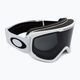 Oakley O-Frame 2.0 Pro M Skibrille schwarz OO7125-04