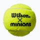 Wilson Minions Tennis Kinder-Tennisbälle 3 Stück gelb WR8202401 4