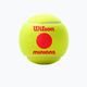 Wilson Minions Stage 3 Kinder-Tennisbälle 3 Stück gelb WR8202701 3