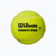 Wilson Triniti Pro Tball Tennisbälle 4 Stück gelb WR8204801001 2