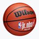 Wilson NBA JR Fam Logo Basketball Indoor Outdoor braun Größe 7 2