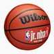 Kinder Basketball Wilson NBA JR Fam Logo Indoor Outdoor braun Größe 5 2