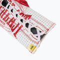 Boxhandschuhe Everlast Fight Leather red 6