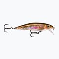 Rapala X-Rap Countdown Live Regenbogenforelle Wobbler RA5818181