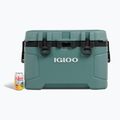 Igloo Trailmate 52 Roller Wanderkühlschrank 49 l Fichte/obsidian grau 15