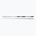 Abu Garcia Beast X Pike 842 Xh 40-140G Casting Rute grün 1528376
