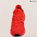 Herren Laufschuhe PUMA Softride Enzo Evo hohes Risiko rot/puma schwarz 19