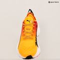 Herren Laufschuhe PUMA ForeverRun Nitro Fade sun stream/sunset glow/puma weiß 18