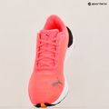 Damen Laufschuhe PUMA Electrify Nitro 3 Fade sun stream/sunset glow/puma weiß 18