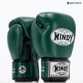 Boxhandschuhe WINDY Classic Genuine Leather green 8