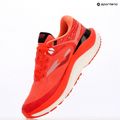Laufschuhe Herren Joma Fenix coral 7