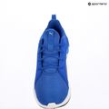 Laufschuhe PUMA PUMA Softride Carson vivid blue/puma navy 9