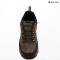 Herren-Trekkingschuhe REGATTA Blake Low peat/wood 18