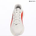 Herren-Laufschuhe Nike Downshifter 14 white/summit white/bright crimson/black 10