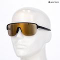 Sonnenbrille Alpina Frame 2.0 Q-Lite black matt/gold mirror 7