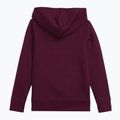 Kinder Sweatshirt GAP V-FA SLD Logo PO Strand Pflaume 2