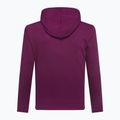 Herren GAP V-Heritage Logo Sweatshirt PO SNL Strand Pflaume 3