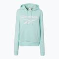 Hoodie Sweatshirt Damen Reebok Identity Big Logo Fleece glitch aqua 5