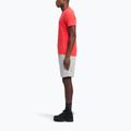 Trainingsshorts Herren Reebok Identity Small Logo Fleece medium grey heather/vector red 2