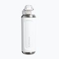 Thermoflasche Stanley Classic Wellspring frost