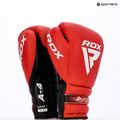 Boxhandschuhe RDX Apex Lace Up Training SPaarring Boxing red 14