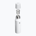 Thermosflasche Stanley New Legendary Classic hammertone frost 3